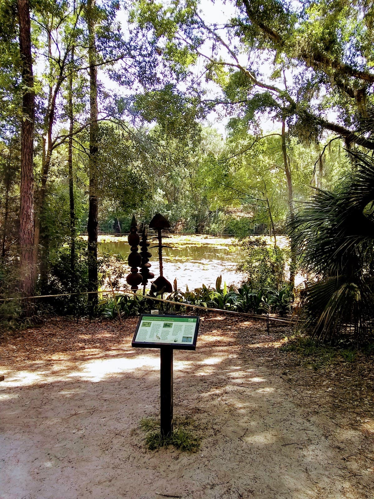 Discovering Nature Nearby: The Arboretum Goes Batty