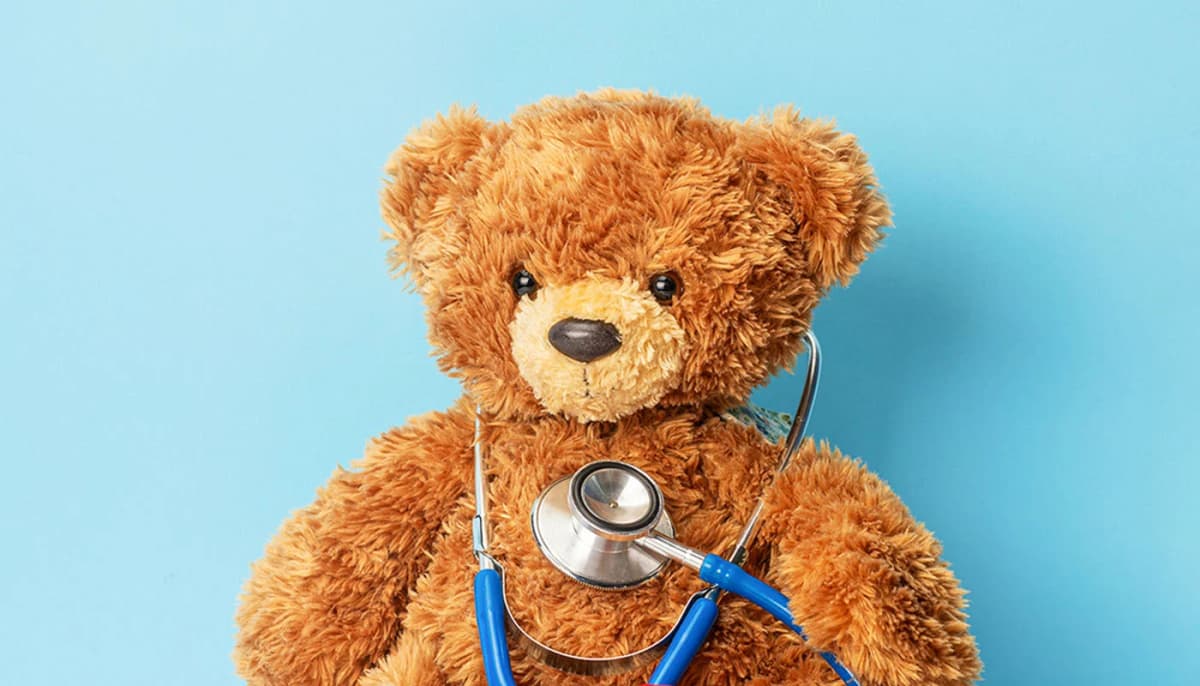 Teddy Bear Affair